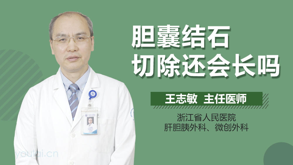 胆囊结石切除还会长吗