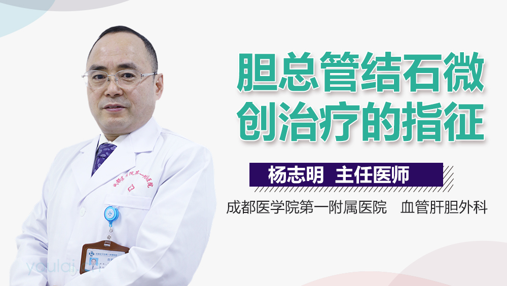 胆总管结石微创治疗的指征