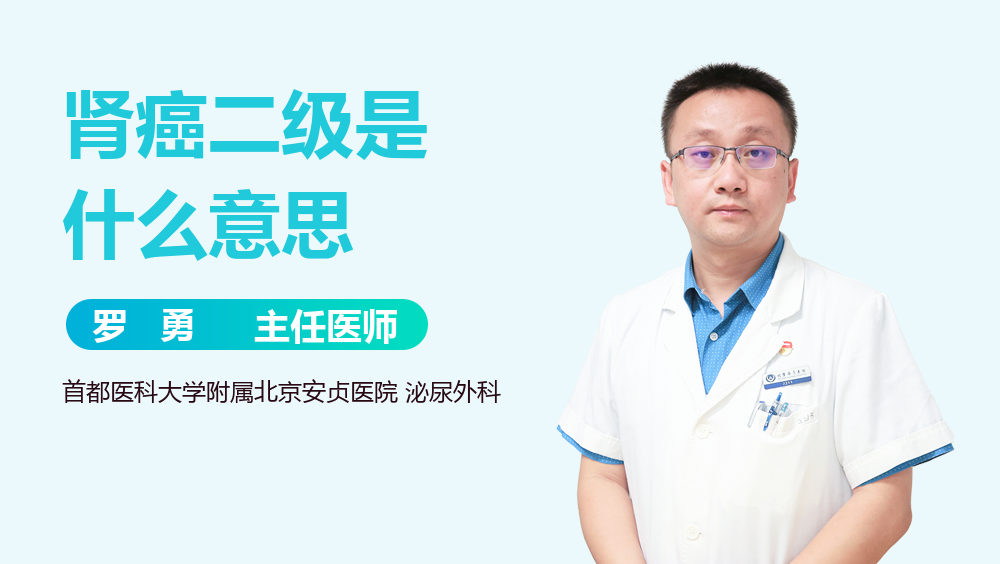 肾癌二级是什么意思