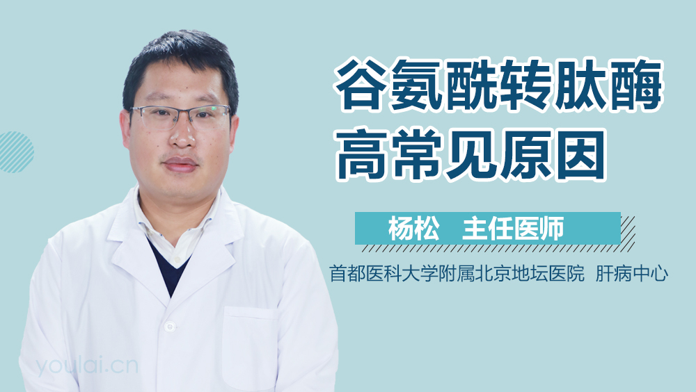 谷氨酰转肽酶高常见原因