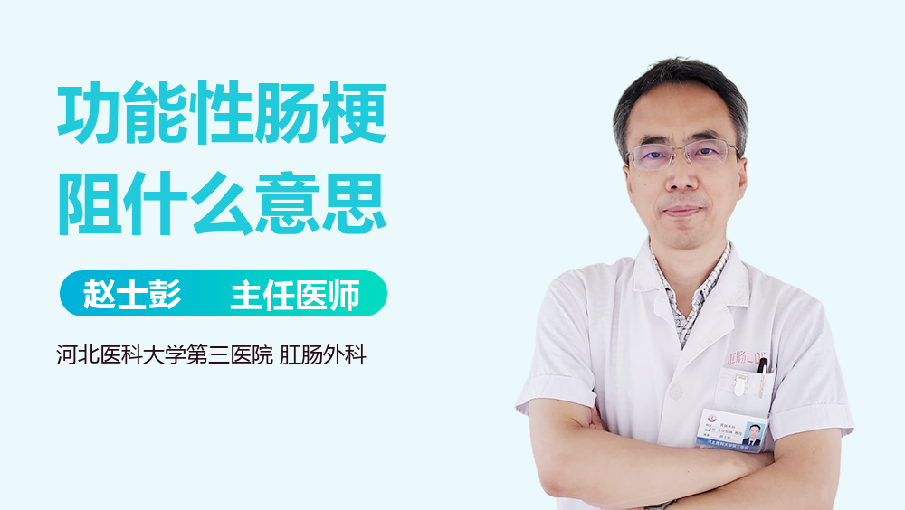 功能性肠梗阻什么意思