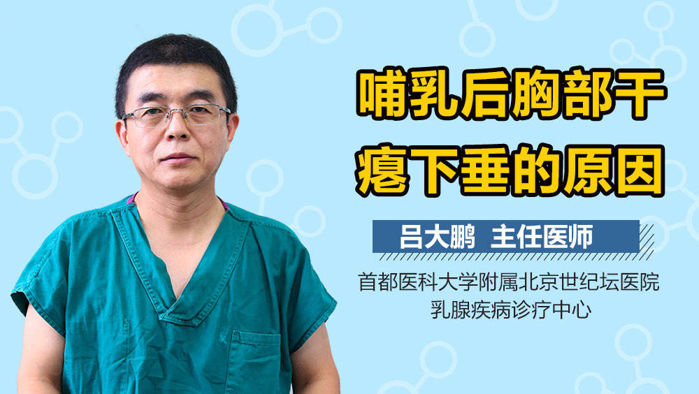 哺乳后胸部干瘪下垂的原因