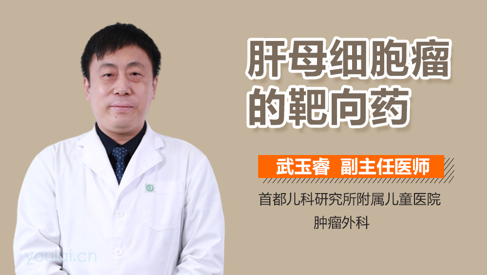 肝母细胞瘤的靶向药