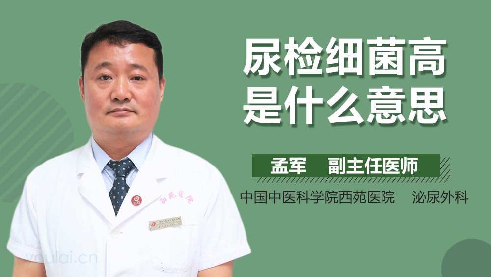 尿检细菌高是什么意思