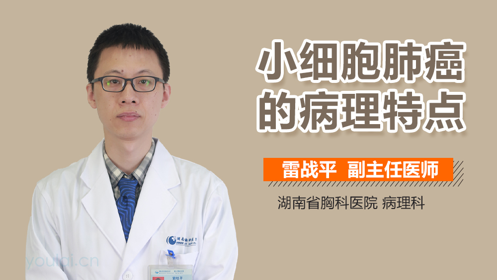 小细胞肺癌的病理特点