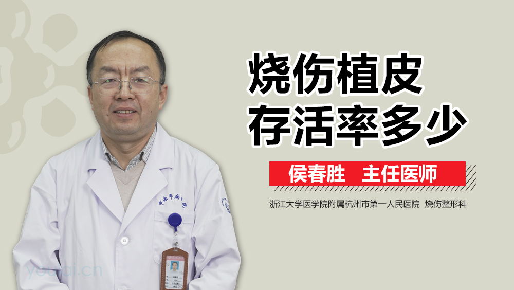 烧伤植皮存活率多少