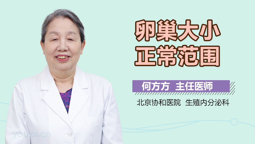 卵巢大小正常范围