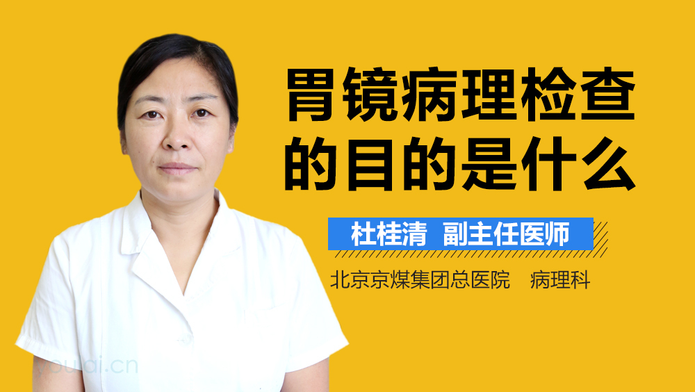 胃镜病理检查的目的是什么