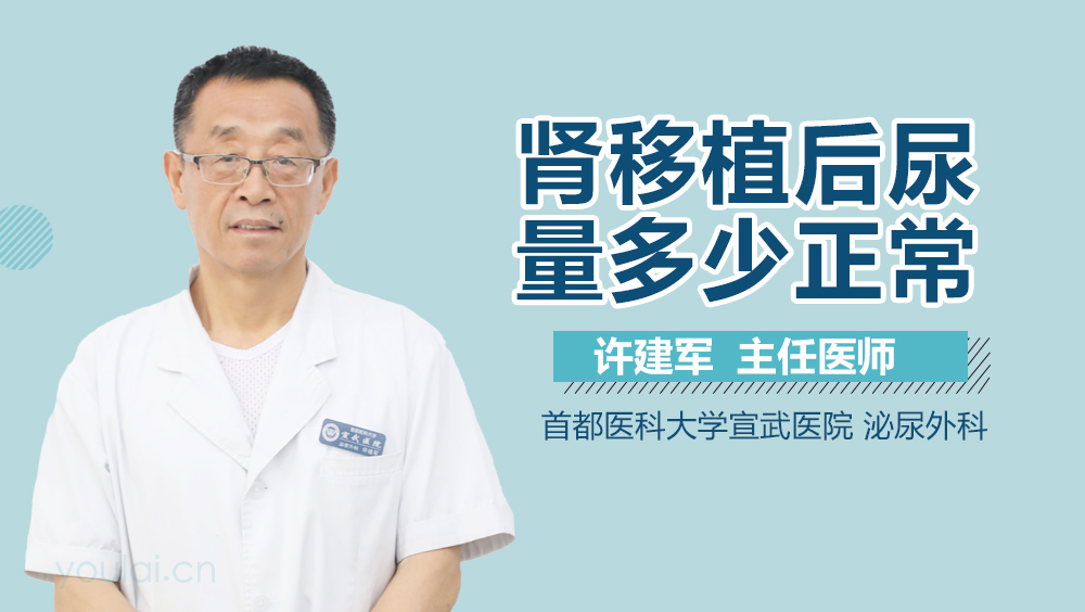肾移植后尿量多少正常