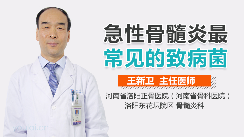 急性骨髓炎最常见的致病菌