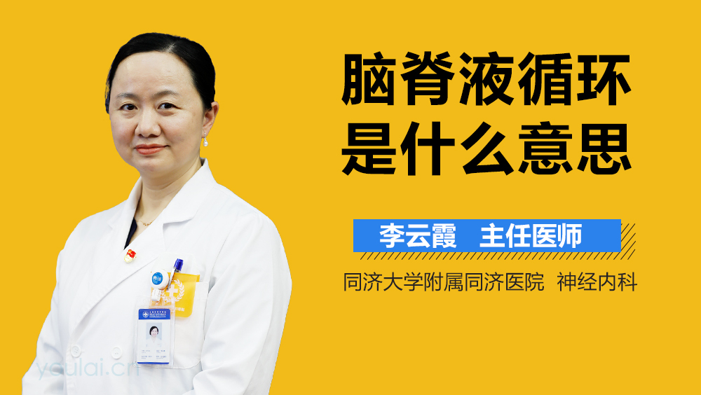 脑脊液循环是什么意思