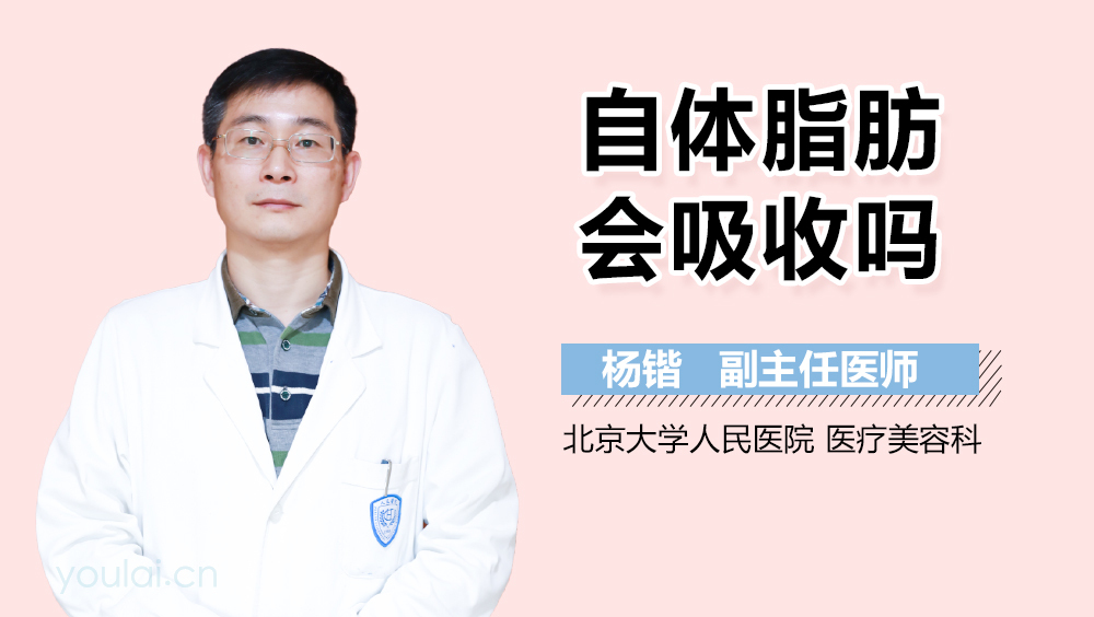 自体脂肪会吸收吗