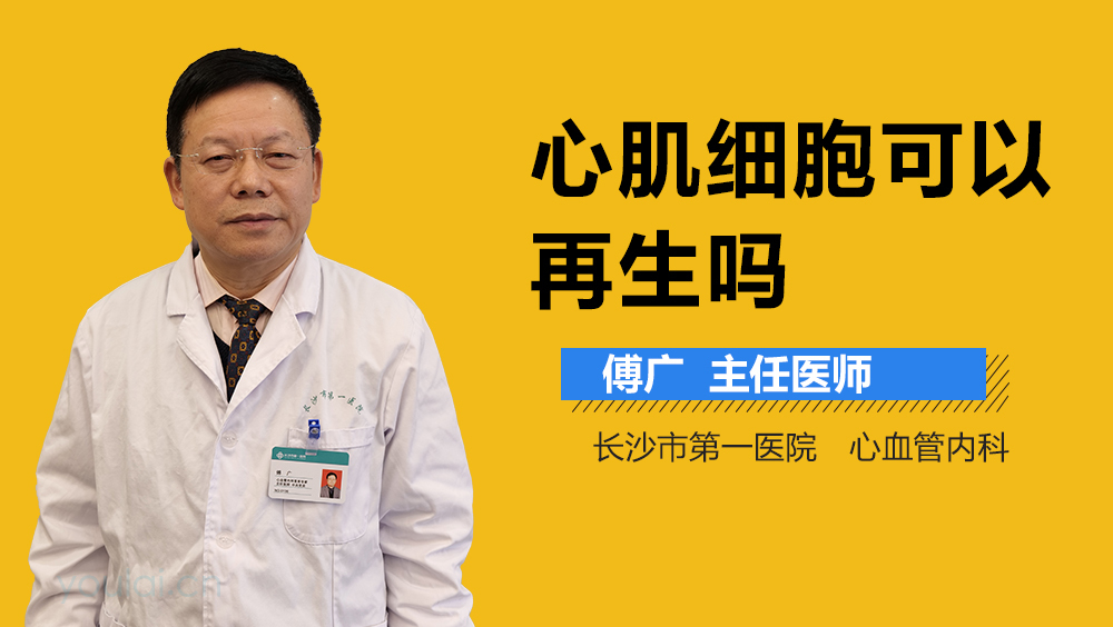 心肌细胞可以再生吗