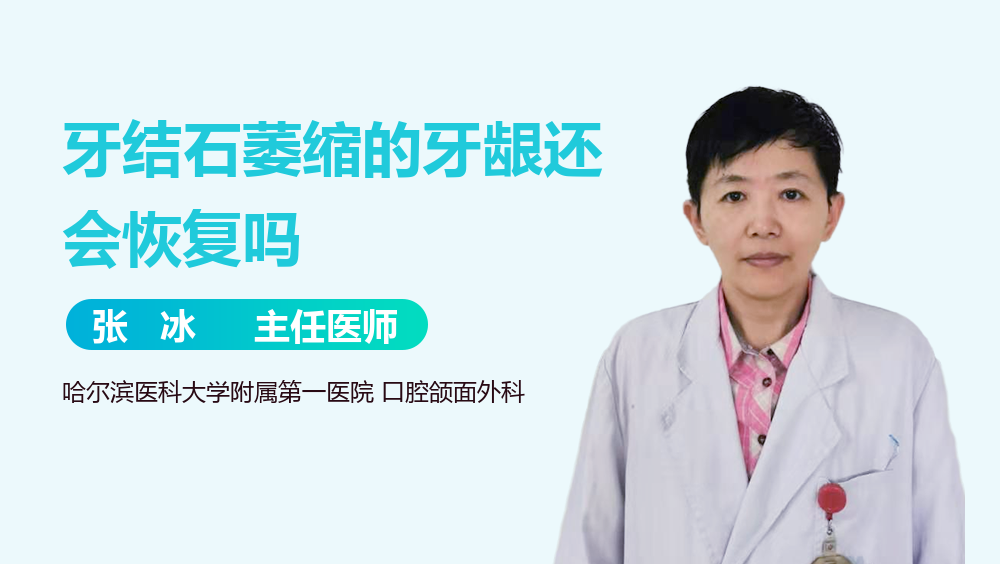 牙结石萎缩的牙龈还会恢复吗