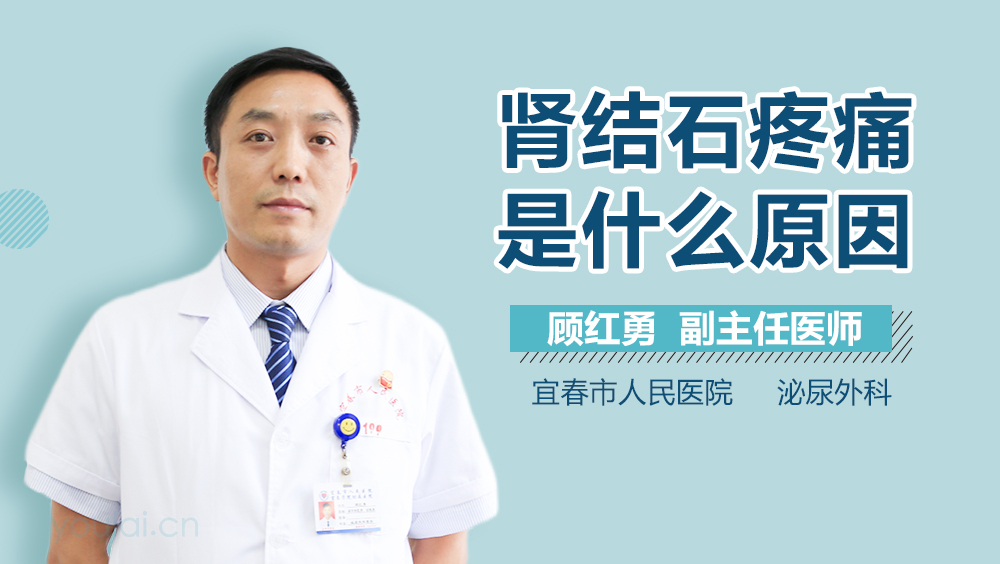 肾结石疼痛是什么原因