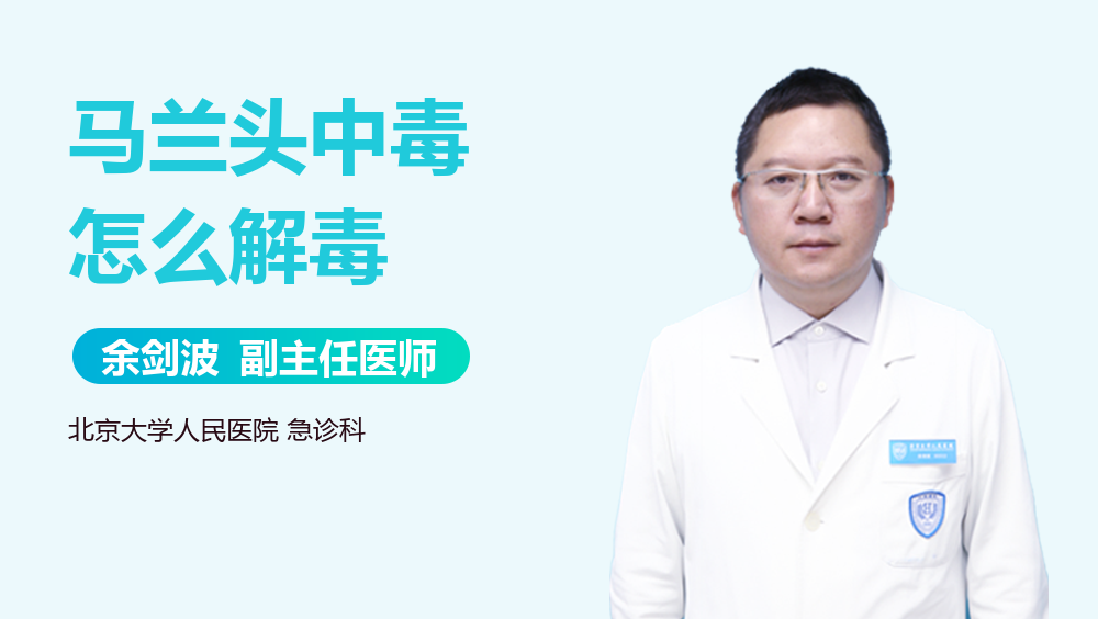 马兰头中毒怎么解毒