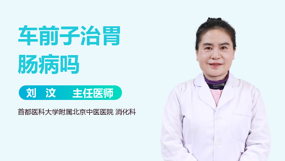 车前子治胃肠病吗