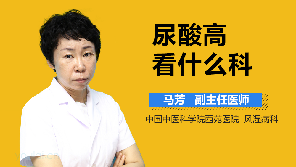 尿酸高看什么科