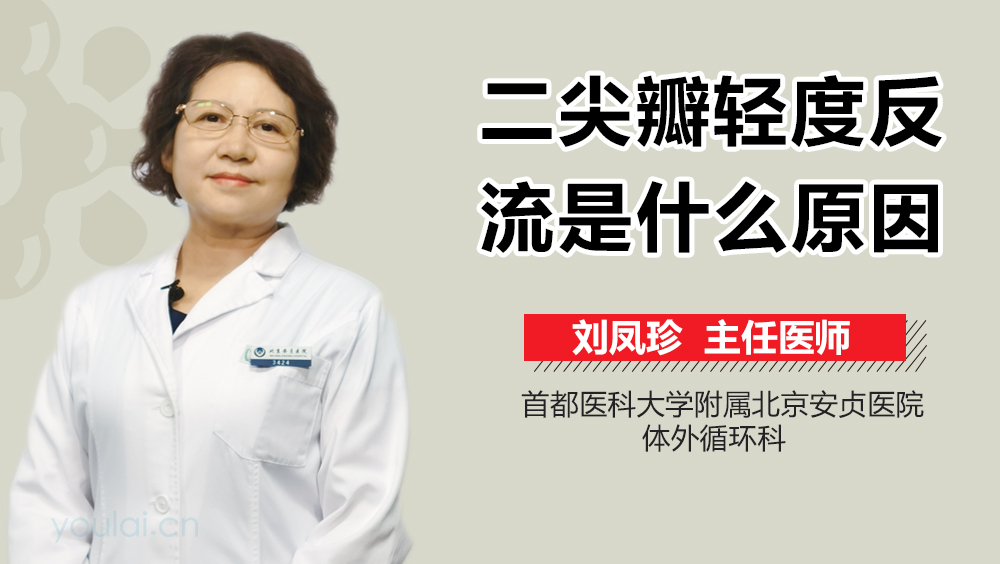 二尖瓣轻度反流是什么原因