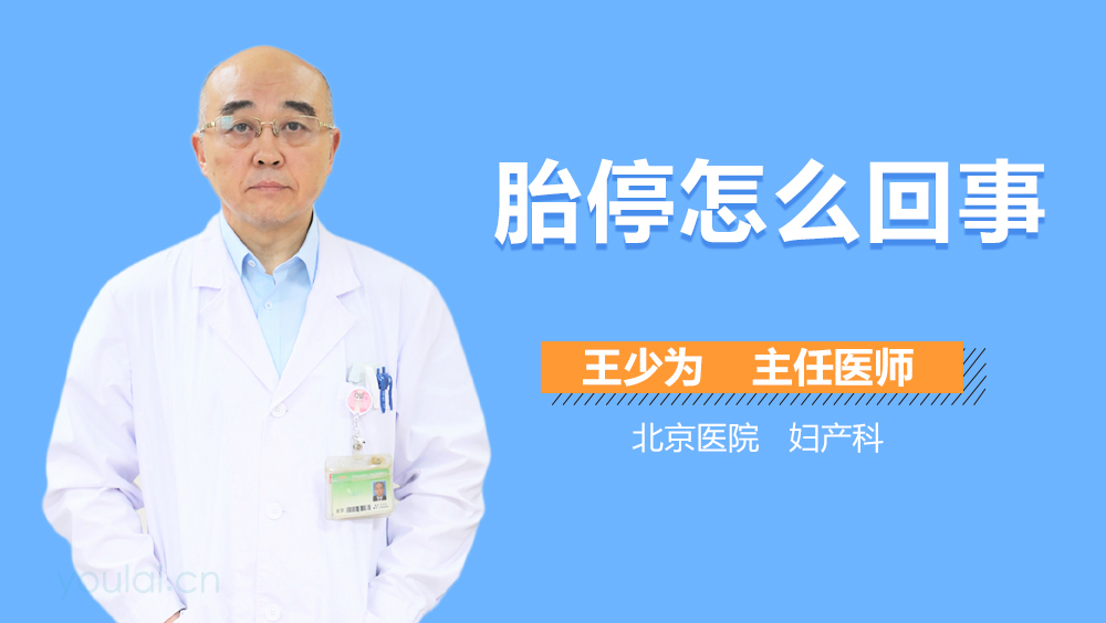 胎停怎么回事