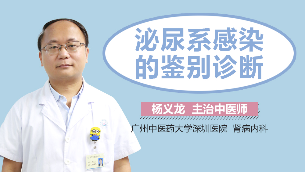 泌尿系感染的鉴别诊断