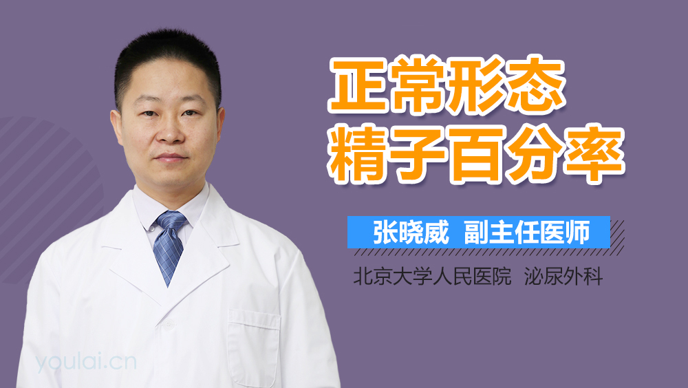 正常形态精子百分率