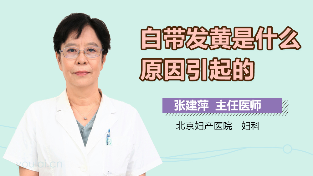 白带发黄是什么原因引起的