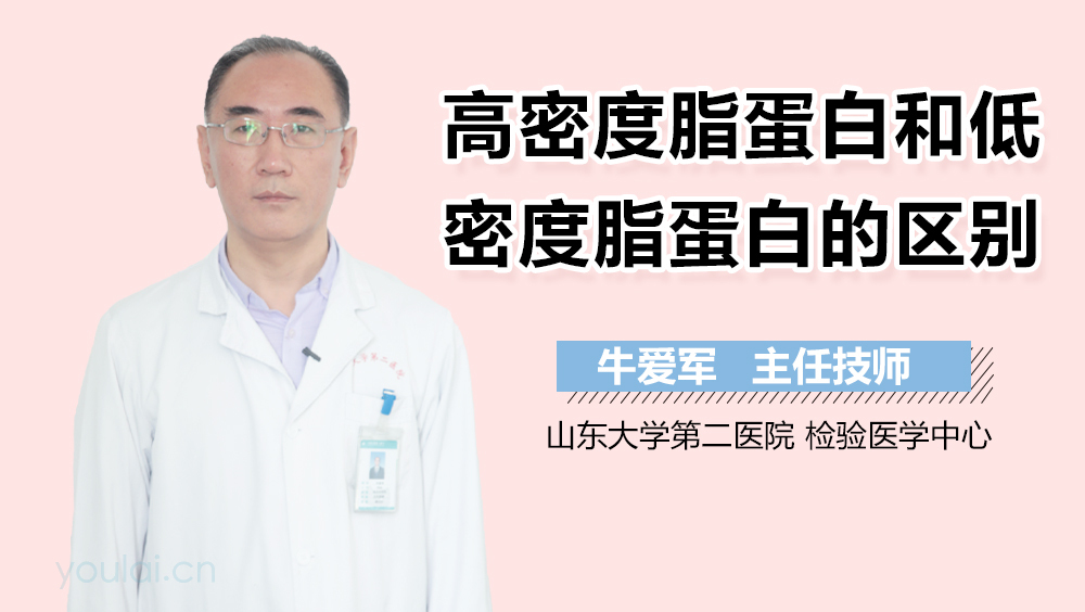 高密度脂蛋白和低密度脂蛋白的区别