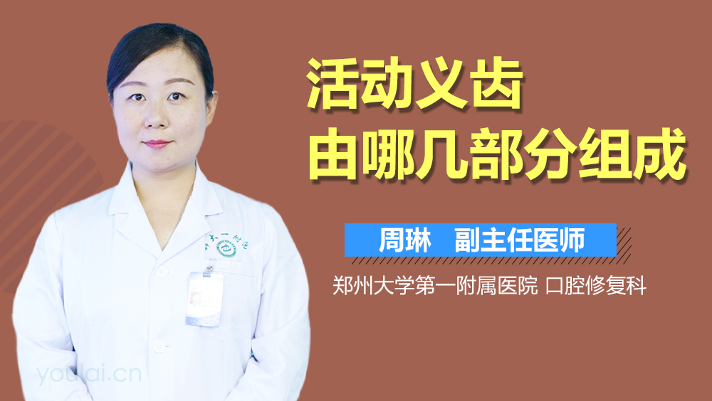 活动义齿由哪几部分组成