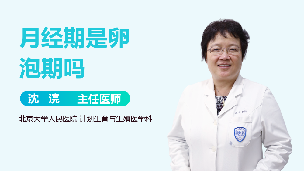 月经期是卵泡期吗