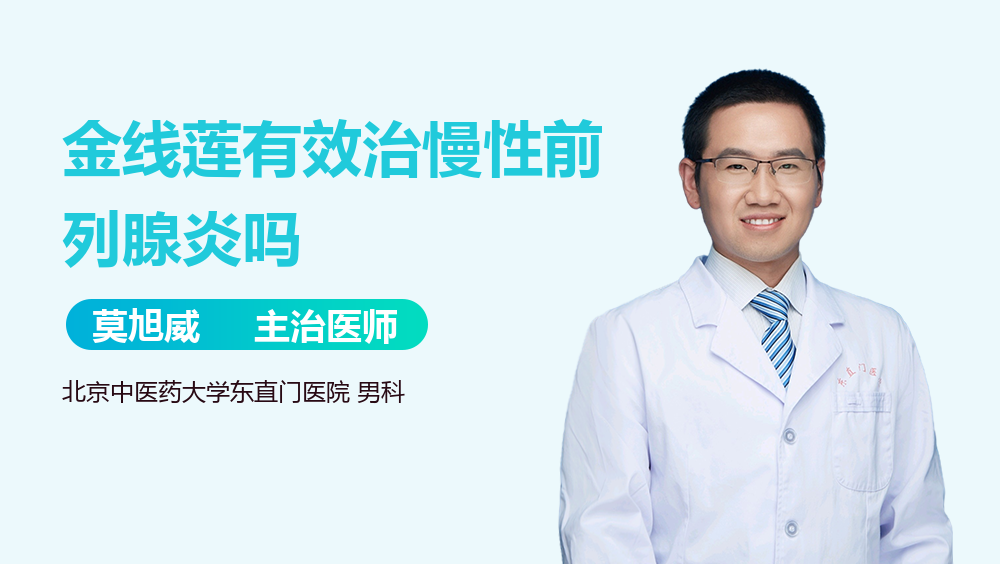 金线莲有效治慢性前列腺炎吗
