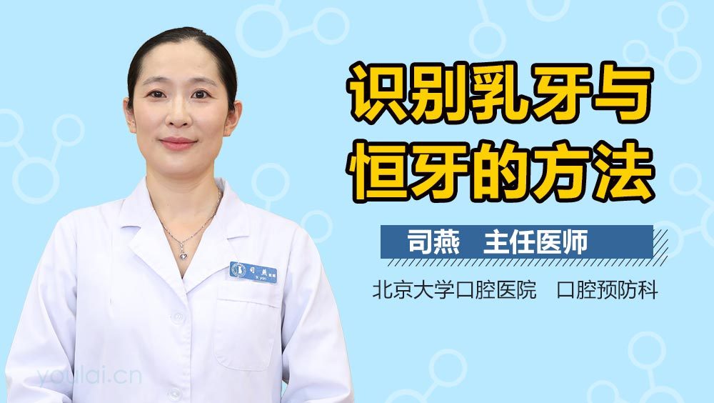 识别乳牙与恒牙的方法