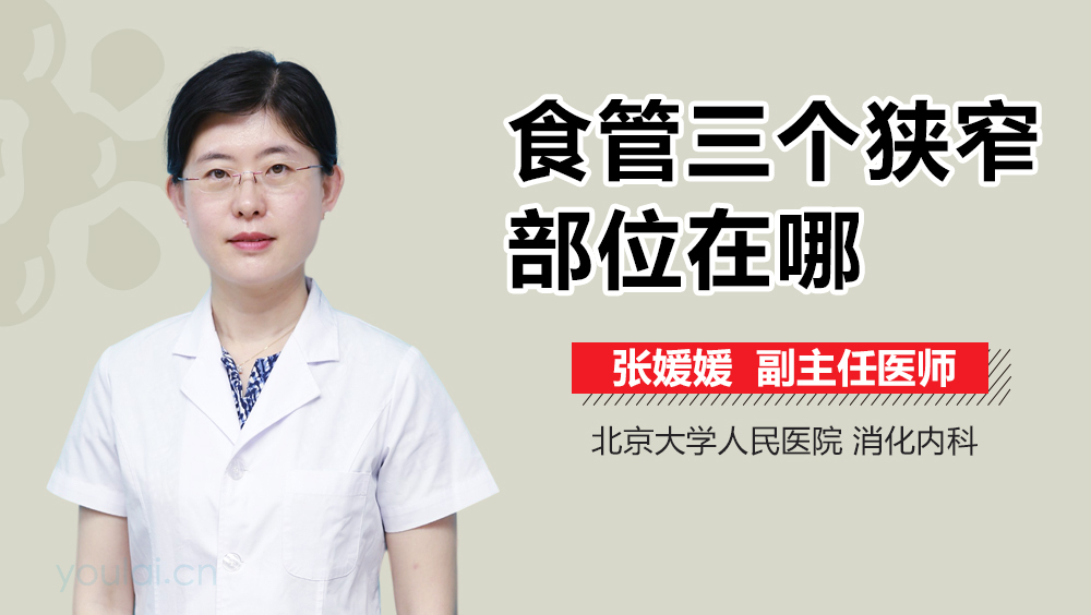 食管三个狭窄部位在哪