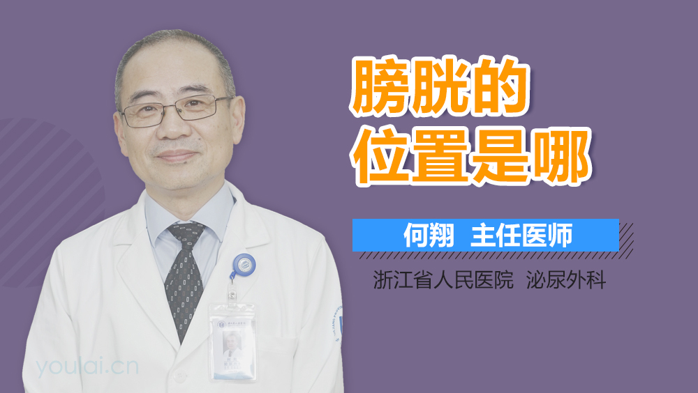 膀胱的位置是哪