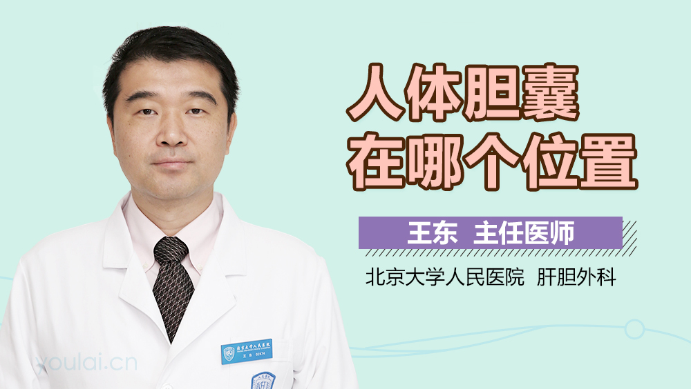 人体胆囊在哪个位置