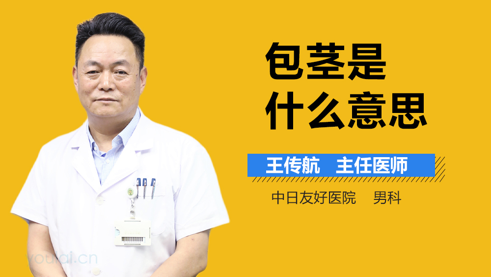 包茎是什么意思