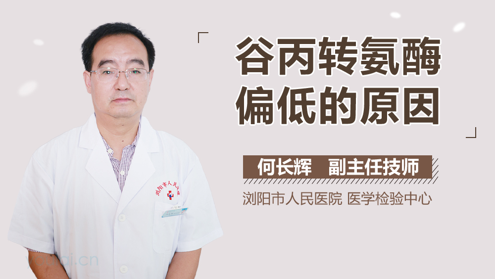 谷丙转氨酶偏低的原因