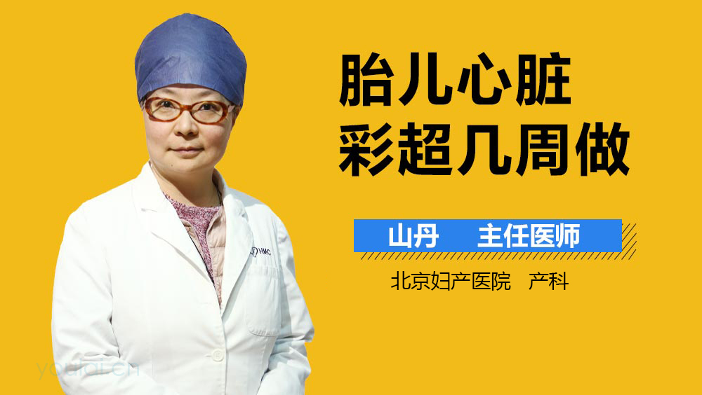 胎儿心脏彩超几周做