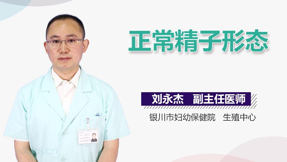 正常精子形态