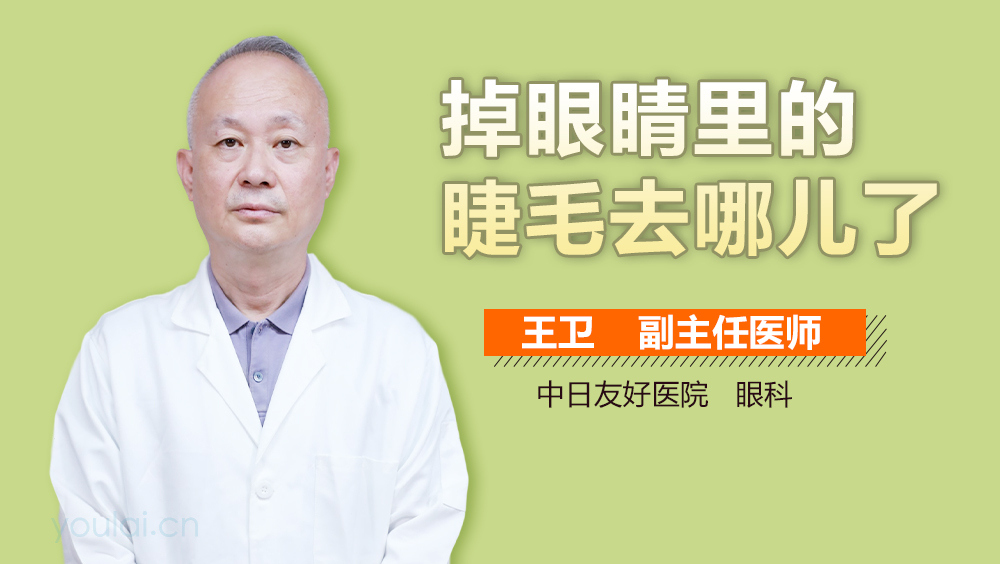 掉眼睛里的睫毛去哪儿了