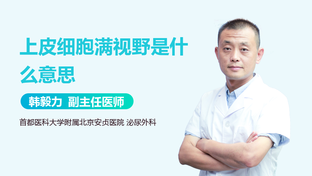 上皮细胞满视野是什么意思