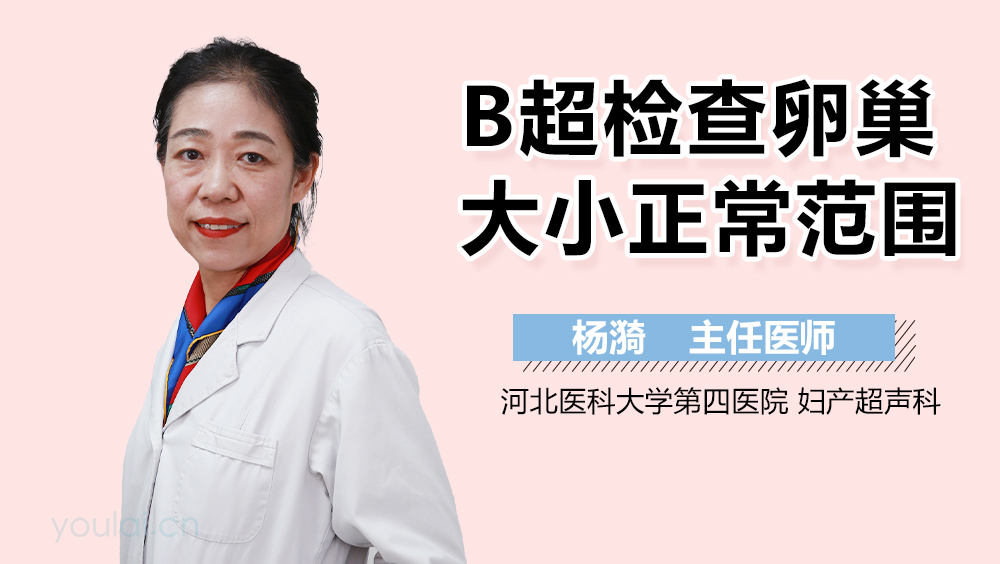 B超检查卵巢大小正常范围