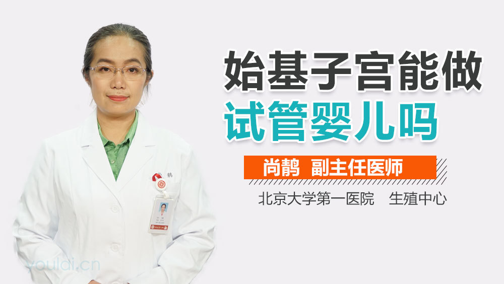 始基子宫能做试管婴儿吗