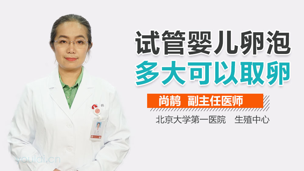 试管婴儿卵泡多大可以取卵