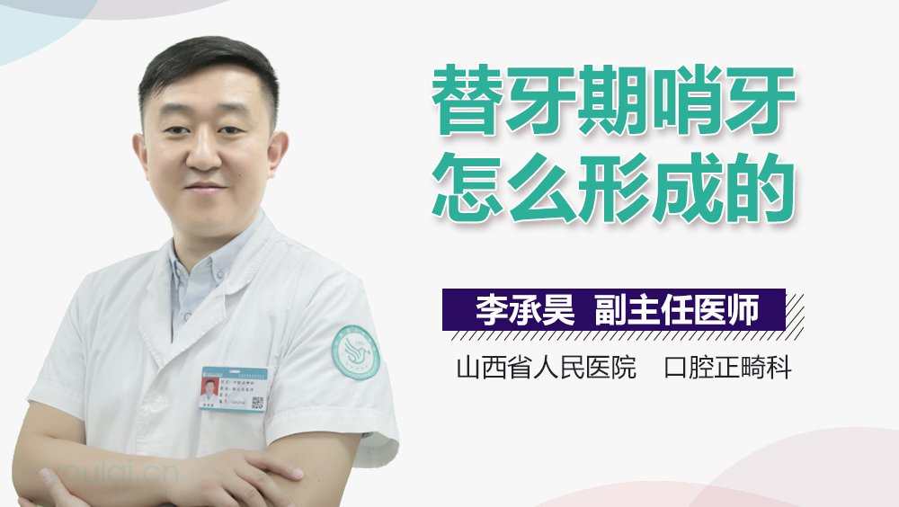 替牙期哨牙怎么形成的