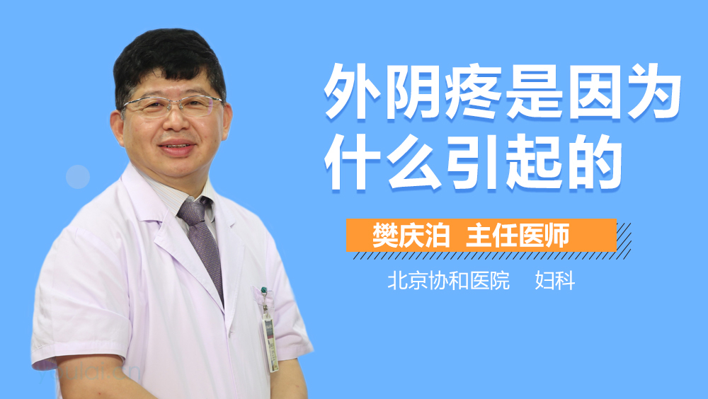 外阴疼是因为什么引起的