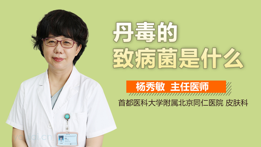 丹毒的致病菌是什么