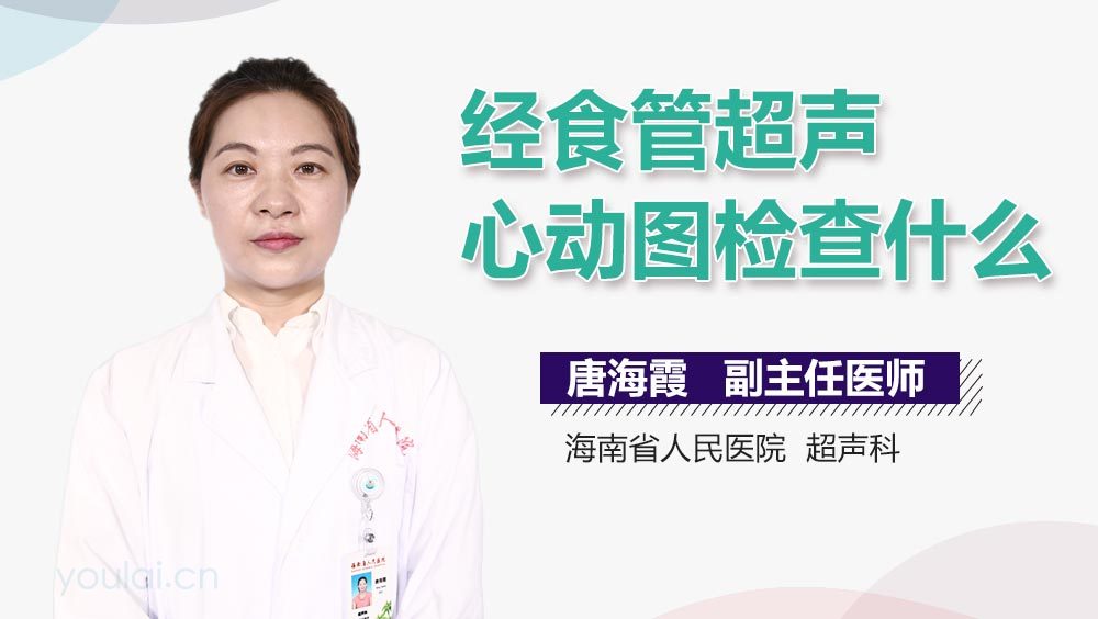 经食管超声心动图检查什么