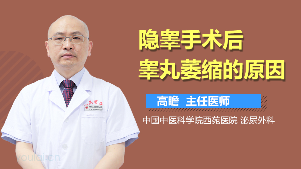 隐睾手术后睾丸萎缩的原因