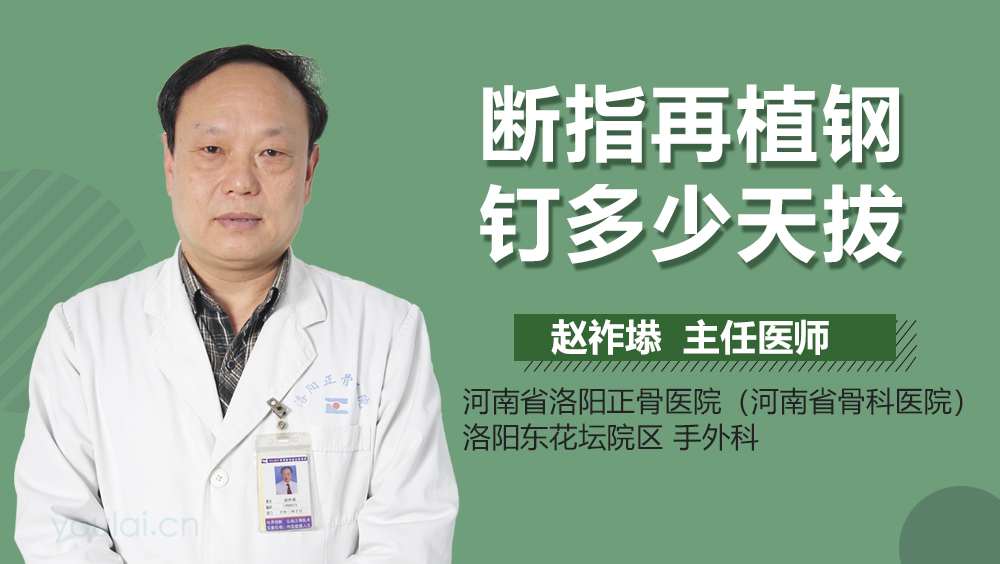 断指再植钢钉多少天拔